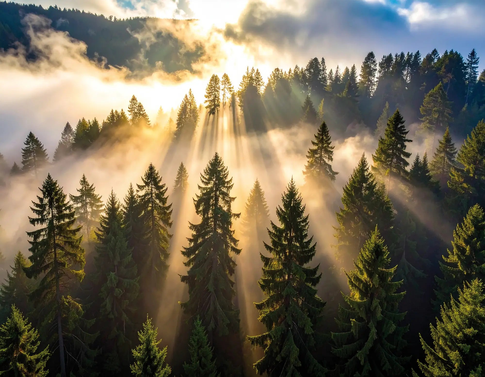 Schwarzwald mit Nebel, Wolken und Sonnenstrahlen